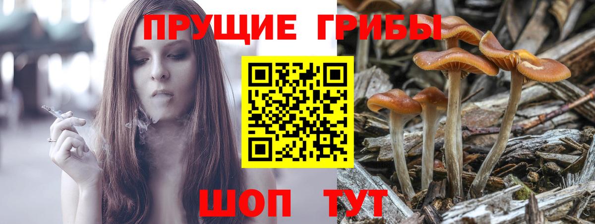 Псилоцибиновые грибы мухоморы Тольятти
