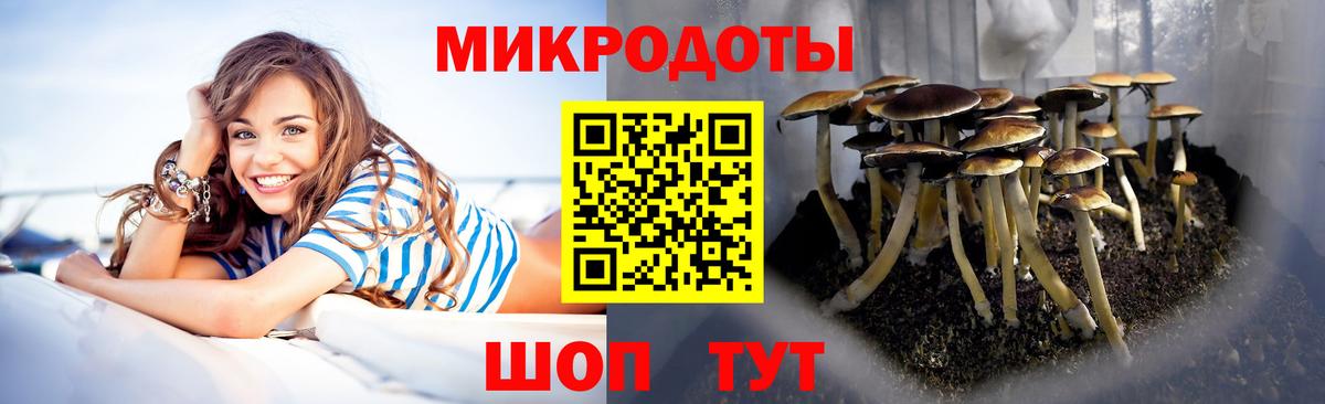 Тольятти  Псилоцибиновые грибы мухоморы  Галлюциногенные грибы мухоморы  Вход с VPN 